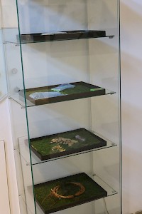 Wanda Mihulean and Nuno Judice, ecological artist book, 2021