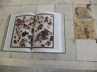 Ancient Laboratory of Analytical Chemistry Images credit: Gilles Zark, with work by Theo Mercier (publication)