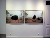 Blue Saloon, Images credit: Gilles Zark KILUANJI KIA HENDA In the Days of a Dark Safari #1-7, 2017