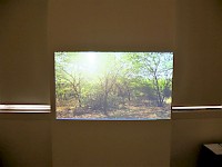 KILUANJI KIA HENDA HAVEMOS DE VOLTAR (WE SHALL RETURN), 2017, Single-channel video on monitor