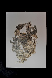 vincent_voillat-_stromatolites-_2019