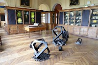 Raphaël Denis ÉLÉMENTS POUR UN ENSEMBLE 2016-2022 Installation, plâtre et oxyde de fer. Ensemble de sculptures inspirées d